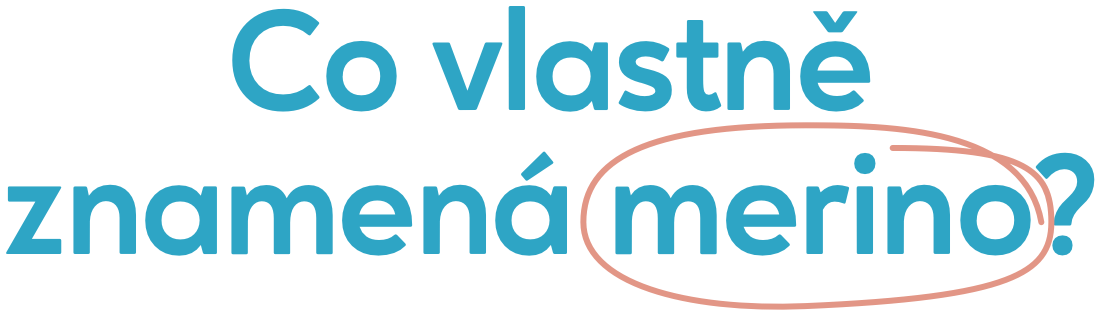Co vlastně znamená merino?